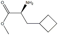 1251903-81-7