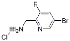 1257535-19-5