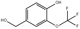 1261679-57-5