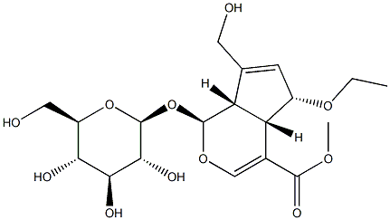 6-Ethoxygeniposide