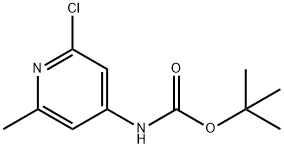 (2-Chloro-6-methyl-pyridin-4-yl)-carbamic acid tert-butyl ester