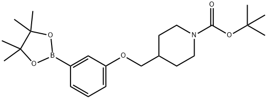3-(N-BOC-Piperidin-4-ylmethoxy)phenylboronic acid