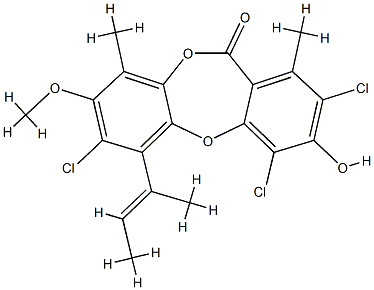 Nidulin