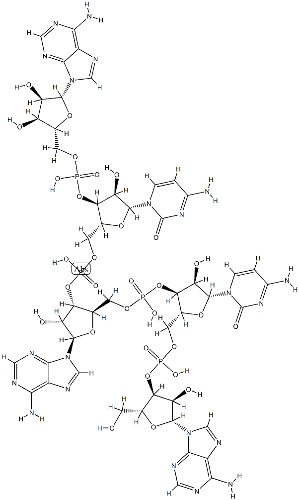 WNT3a protein