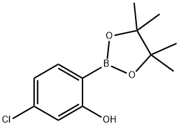 2-羟基-4-氯苯硼酸频呐醇酯