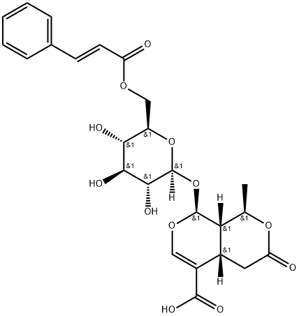 6&#39;-O-Cinnamoyl-8-epikingisidic acid