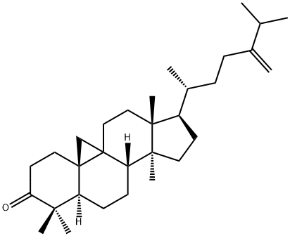 24-Methylenecycloartanone