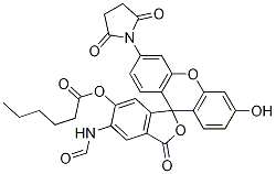 5-FAM-X, SE