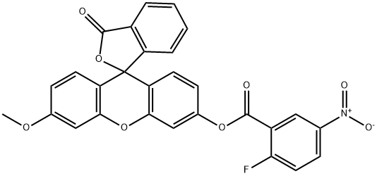 DSP-1