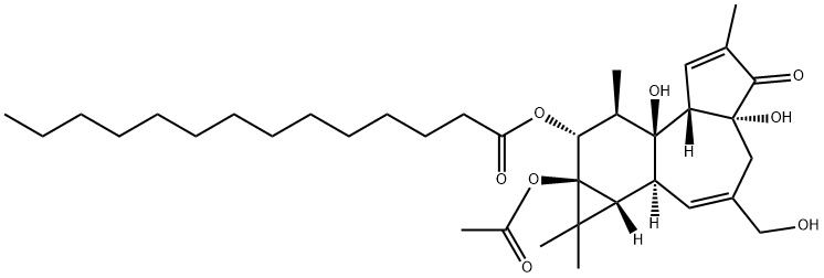 12-O-十四烷酰佛波醋酸酯-13