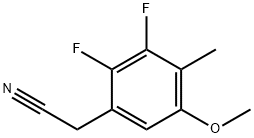 1706461-19-9