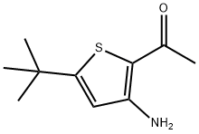 2-乙酰基-3-氨基-5-叔丁基噻吩