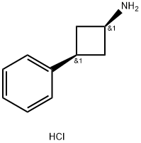 顺-3-苯基环丁-1-胺盐酸盐