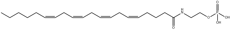 Arachidonoyl Ethanolamide Phosphate