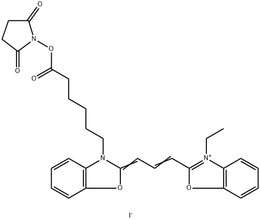 CY2-SE