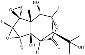 Isohyenanchin