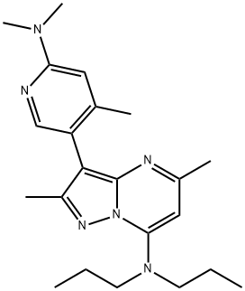 R-121919