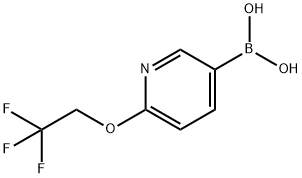[6-(2,2,2-三氟乙氧基)哌啶-3-基]硼酸