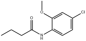 N-(4-氯-2-甲氧基苯基)丁酰胺
