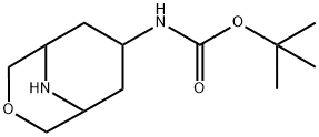 198211-13-1