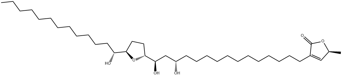 大花紫玉盘素