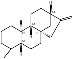 (-)-Phyllocladene