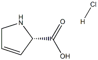 3,4-脱氢-L-脯氨酸盐酸盐