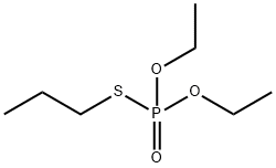 Phorate Oxon