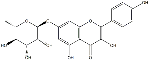 Kaempferol 7-O-rhamnoside