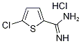 202336-16-1