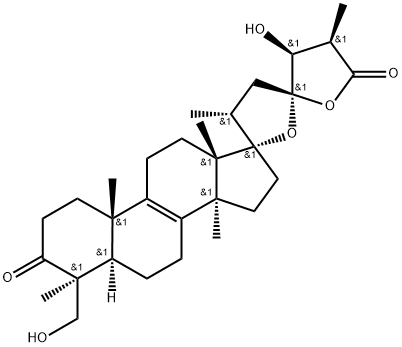 Scillascillone