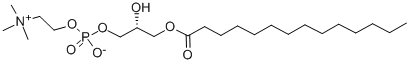 1-Myristoyl-sn-glycero-3-phosphocholine