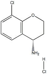 2061996-42-5