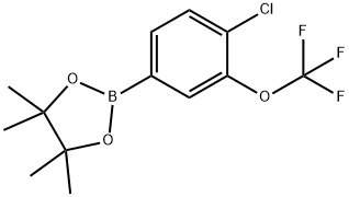 2-(4-氯-3-(三氟甲氧基)苯基)-硼酸频哪醇酯