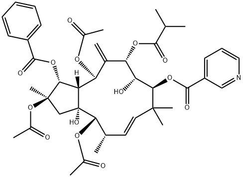 Jatrophane 3