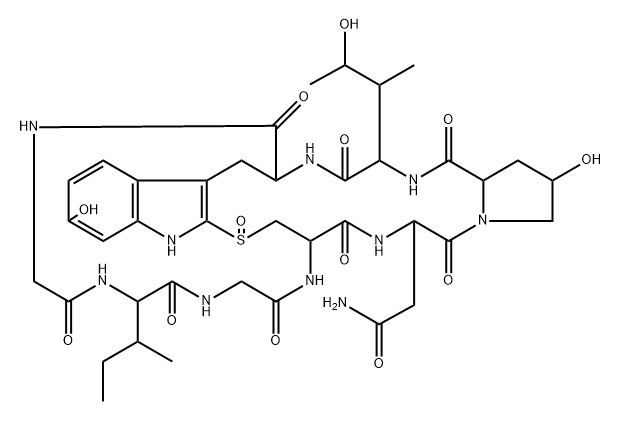 gamma-Amanitin
