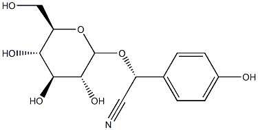 Taxiphyllin