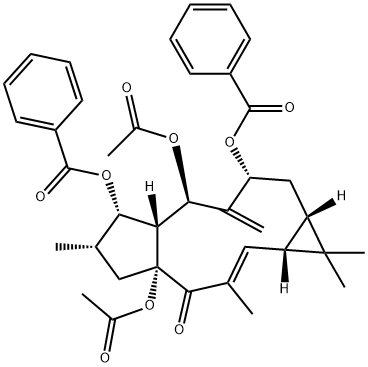 大戟因子L2;千金子素 L2