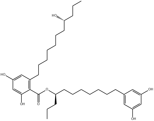 Integracin B