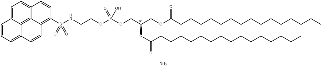 16:0 Pyrene PE