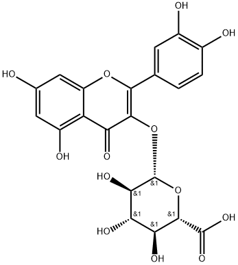 槲皮素-3-O-β-D-吡喃葡糖苷酸;槲皮素-3-葡萄糖醛酸苷