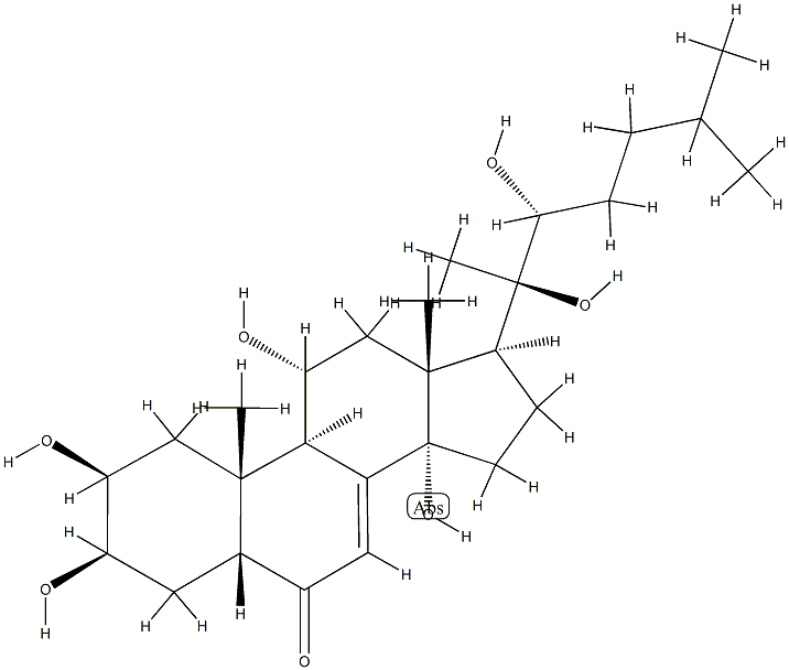 筋骨草甾酮C