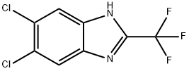 5,6-二氯-2-(三氟甲基)-1H-苯并[d]咪唑