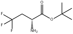 (R)-2-Amino-4,4,4-trifluoro-butyric acid tert-butyl ester