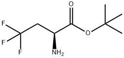 (S)-2-Amino-4,4,4-trifluoro-butyric acid tert-butyl ester