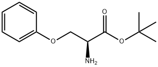 (S)-2-Amino-3-phenoxy-propionic acid tert-butyl ester