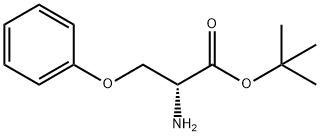 (R)-2-Amino-3-phenoxy-propionic acid tert-butyl ester