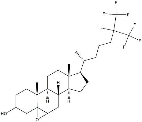 240129-24-2