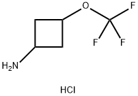 3-Trifluoromethoxy-cyclobutylamine hydrochloride