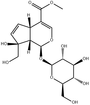 羟异栀子苷;栀子糖苷;山栀子苷B;栀子甙